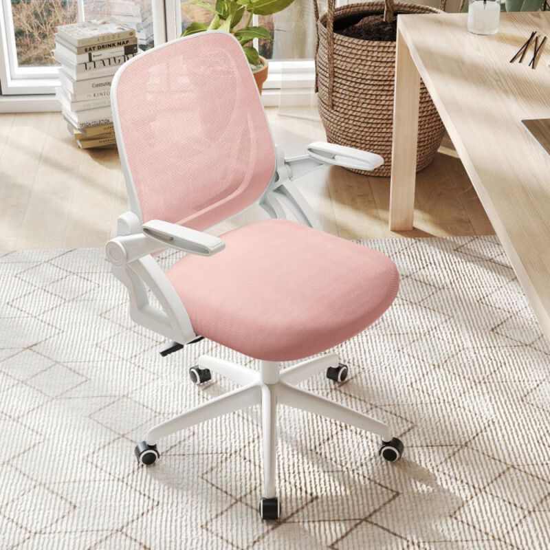 Hivvago Ergonomic Computer Desk Chair with Lumbar Support and Flip-up Arms