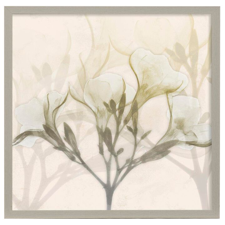Sunkissed Oleander Framed Print