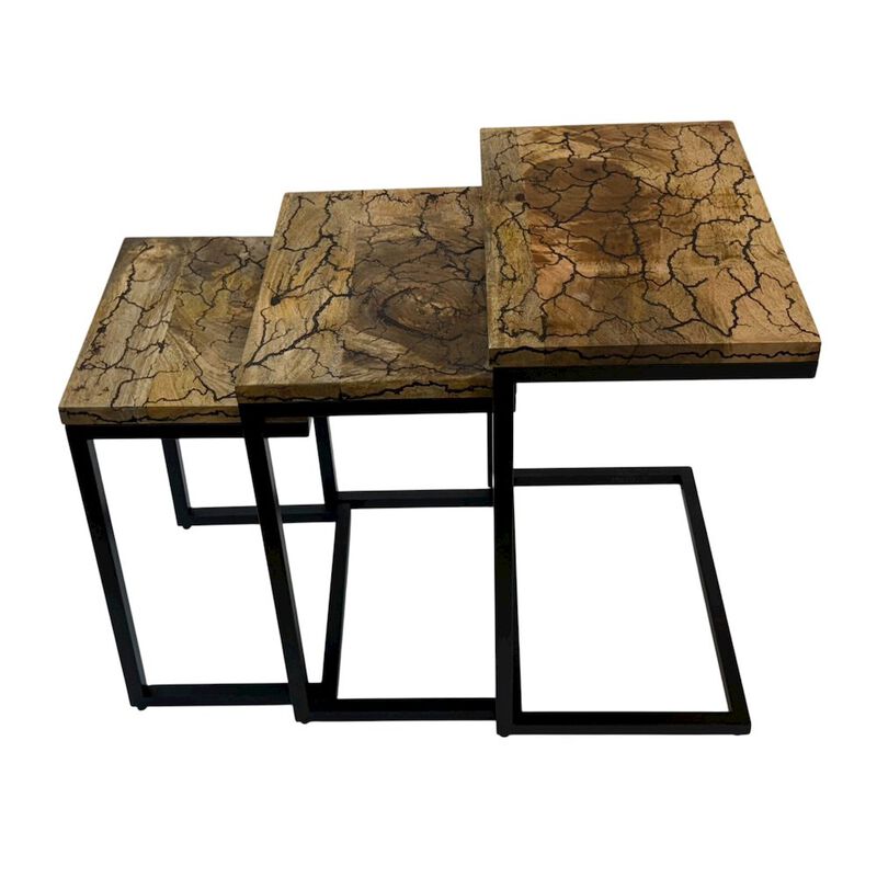 Carolina Chair & Table Electra 3 Piece Nesting Table Set - Electrified Wood - Black Iron