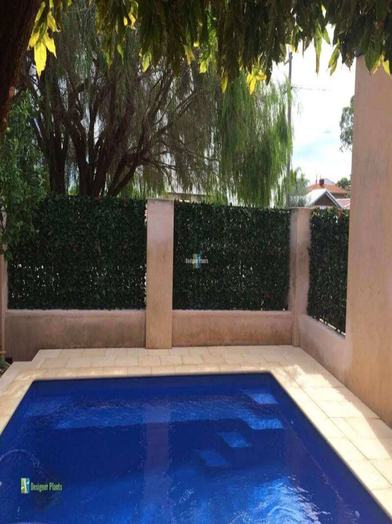 Artificial Photinia Hedge Panel Wall 40" x 40" 11SQ FT Commercial Grade UV Resistant