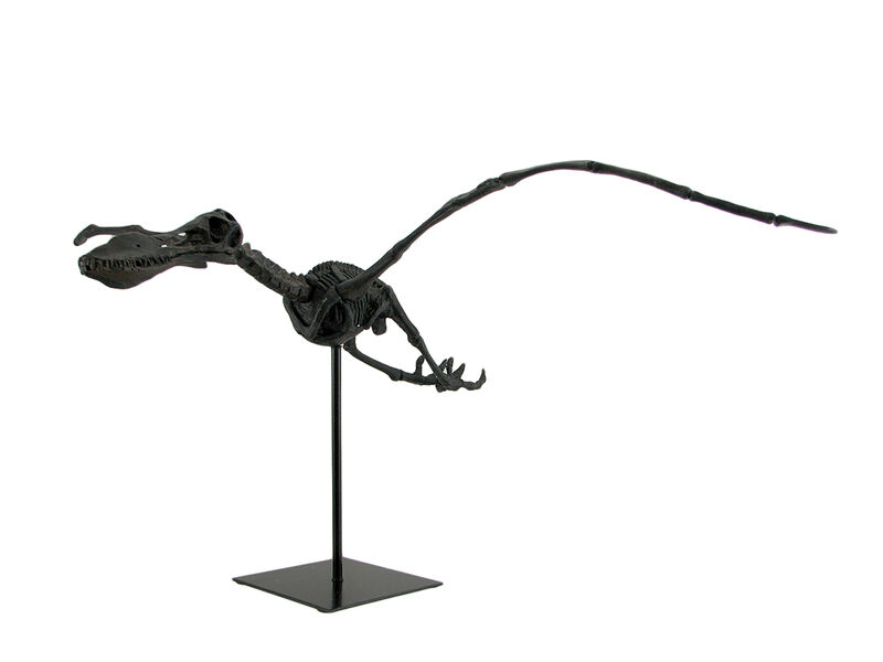 Museum Mounted Pterosaur Flying Dinosaur Fossil Replica Statue image number 1