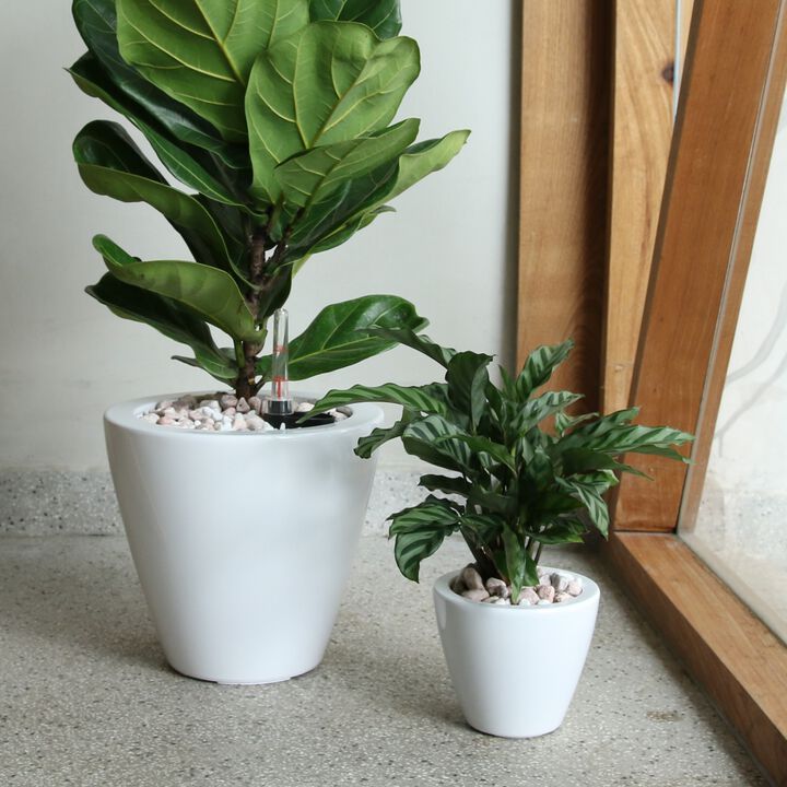 2-Pack Smart Self-watering Planter Round Cone Pot for Indoor and Outdoor