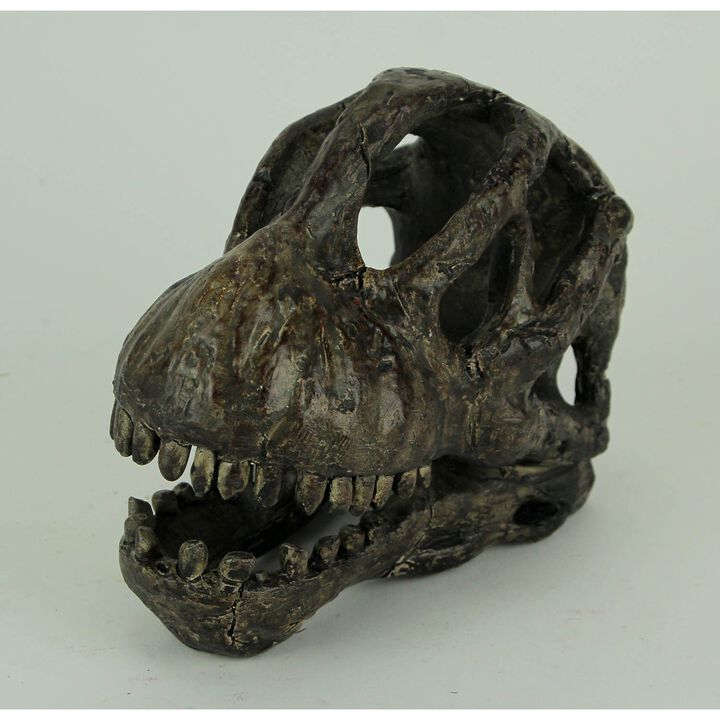 6 Inch Brachiosaurus Dinosaur Skull Fossil Statue Resin Brown Office Desk D&eacute;cor