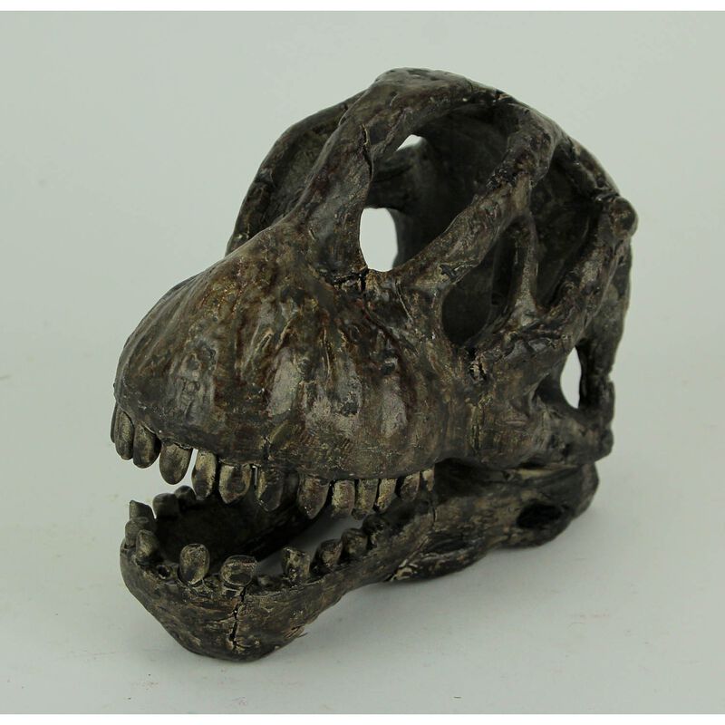 6 Inch Brachiosaurus Dinosaur Skull Fossil Statue Resin Brown Office Desk D&eacute;cor image number 1