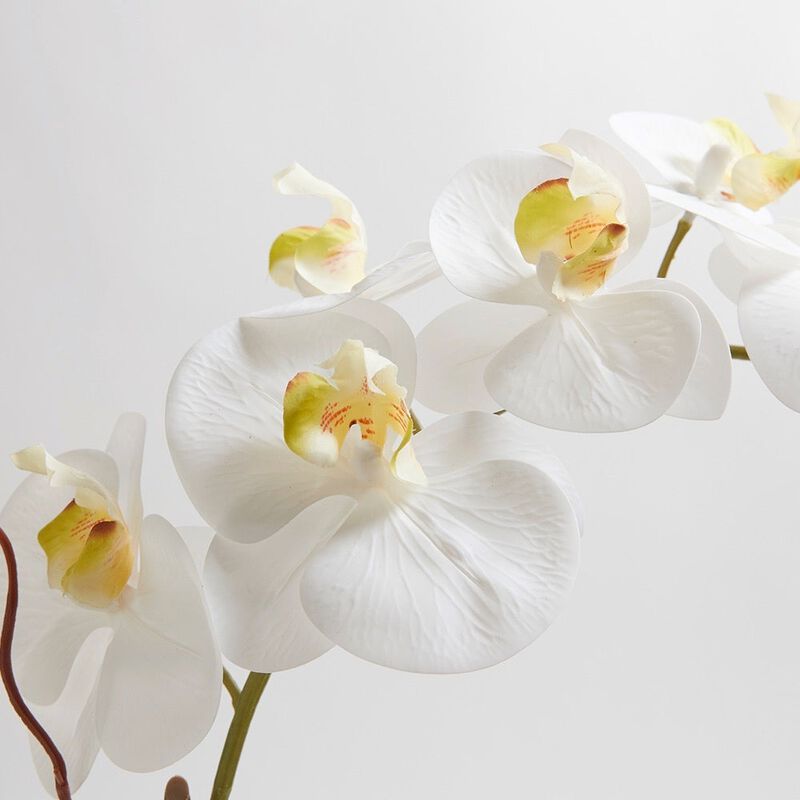 Artificial White Double Stem Orchid image number 2