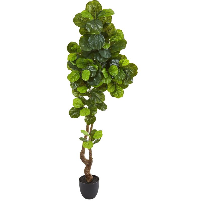 Nearly Natural 78-in Fiddle Leaf Artificial Tree (Real Touch)
