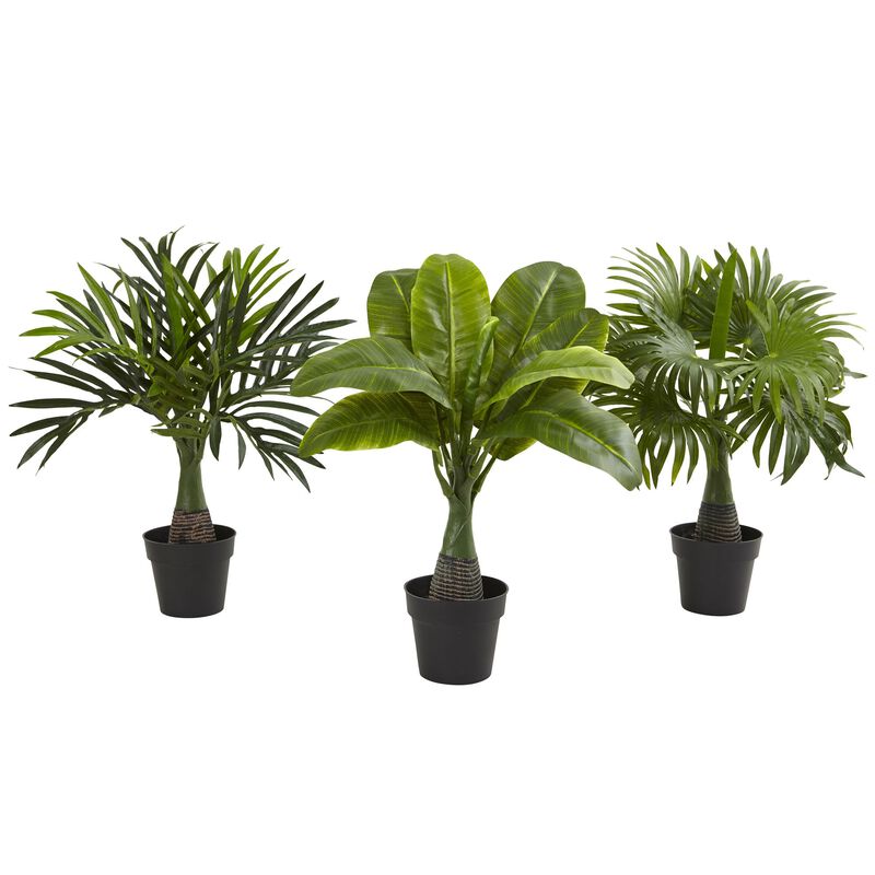 Hivvago Areca, Fountain & Banana Palm (Set of 3)