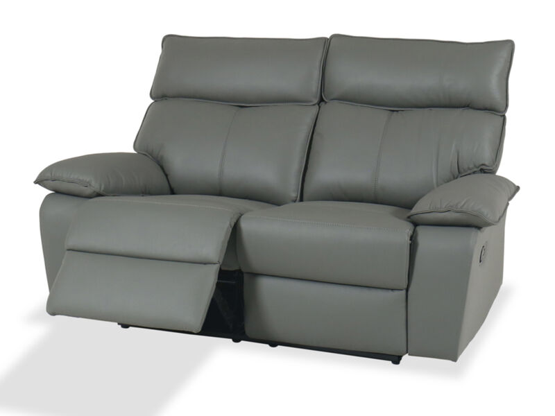Wildcat Reclining Loveseat
