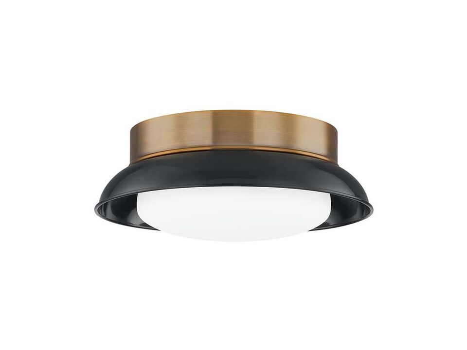 Arnie Flush Mount