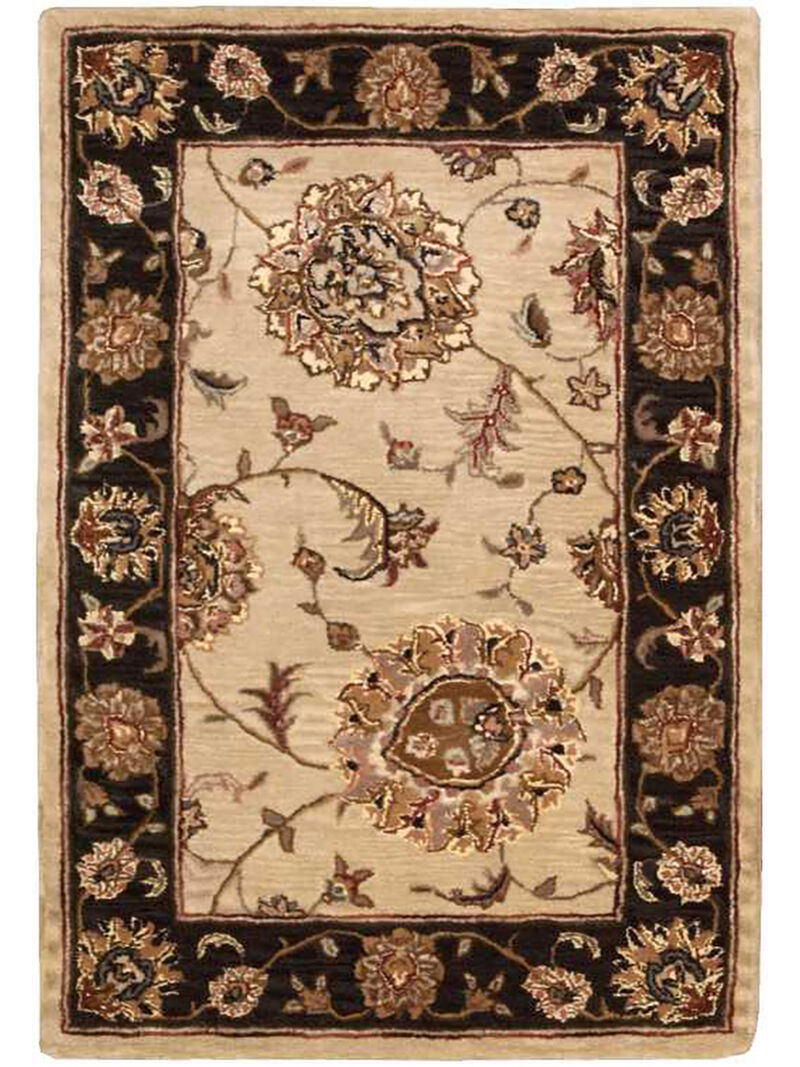 Nourison 2000 2207 Beige 2' x 3' Rug image number 0