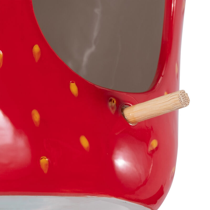 Strawberry Bird House/Feeder image number 4