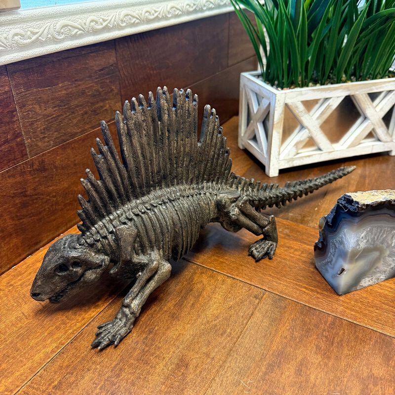 Dimetrodon Dinosaur Statue Fossil Style Brown Polyresin Sculpture 18 Inch image number 7
