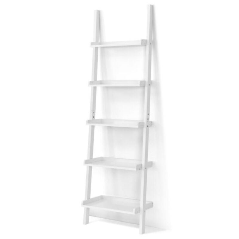 5-Tier Wall-leaning Ladder Shelf  Display Rack for Plants and Books