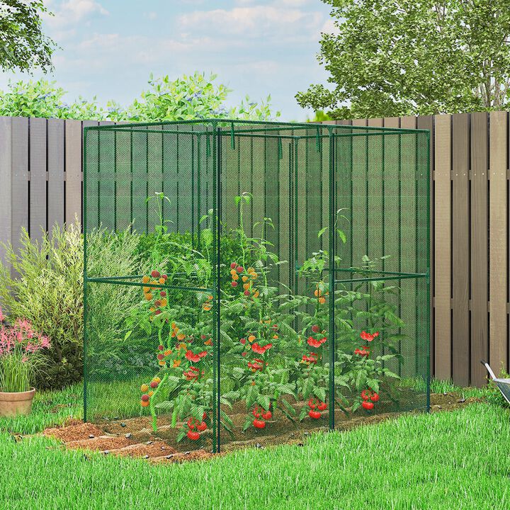 Hivvago 6' x 4' x 6' Walk-In Crop Cage Plant Protector