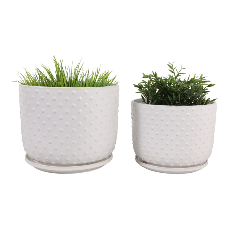 S/2 10/12" Dotted Planter image number 1
