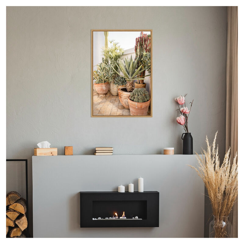 Garden with Various Potted Succulents and Cacti by Henrike Schenk Framed Canvas Wall Art