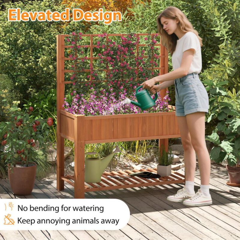 Hivvago Raised Garden Bed with Trellis Wooden Elevated Planter Box with Legs