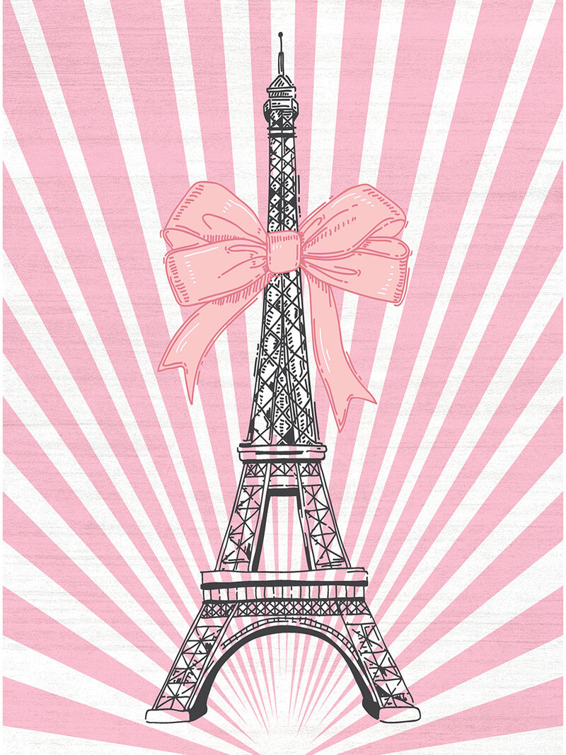 Imagination IMA17 Pink 4' x 6' Rug