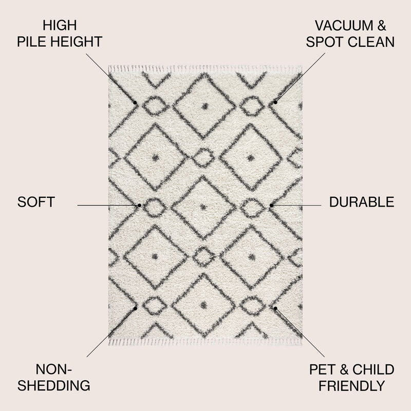 Mercer Shag Plush Tassel Moroccan Diamond Area Rug