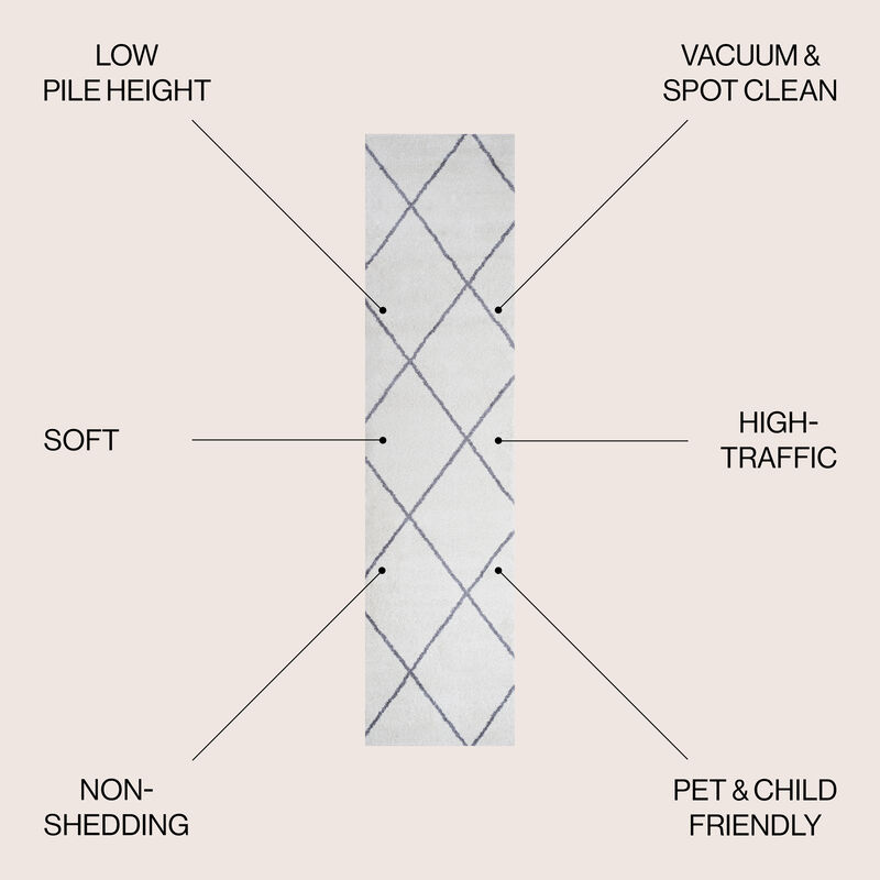 Cole Minimalist Diamond Trellis Area Rug