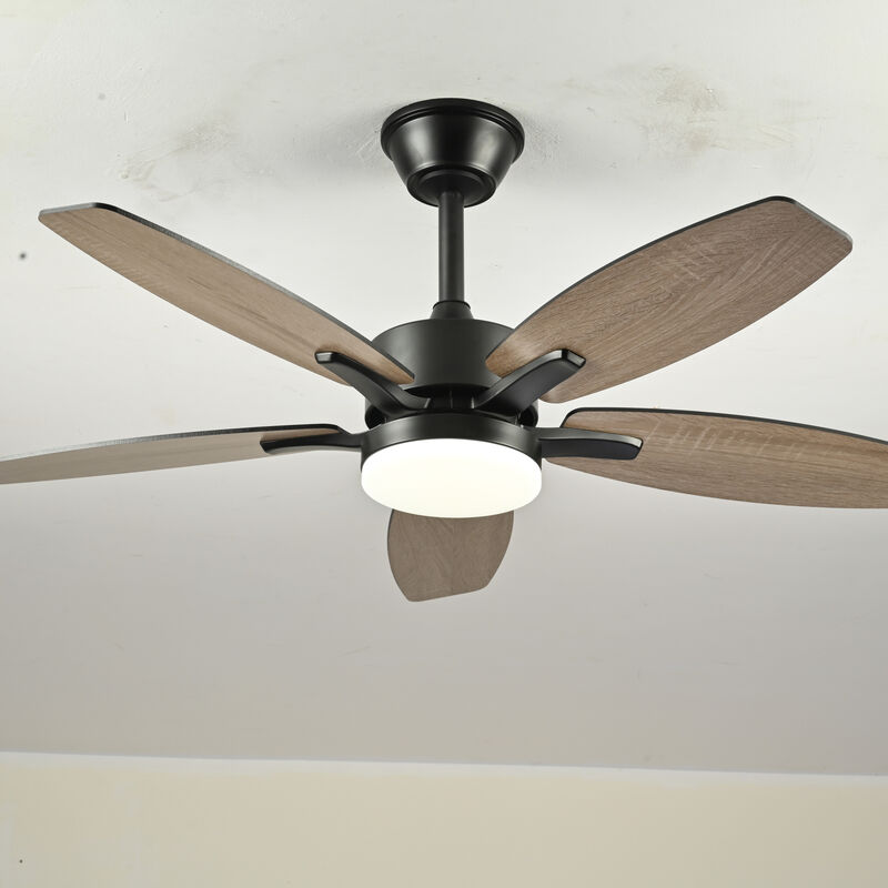 ELEMENT ACE 42 Inch 5 Plywood Blades Ceiling Fan with Lights and Remote Control, Quiet DC Motor 6 Speed Levels Reversible Fan for Indoor Living Room Bedroom Office Patio image number 1