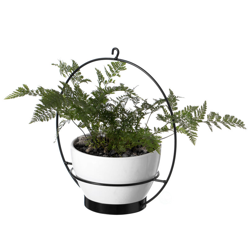 Decorative Metal Hanging Planter with Tree Pots for Flowers, White and Black