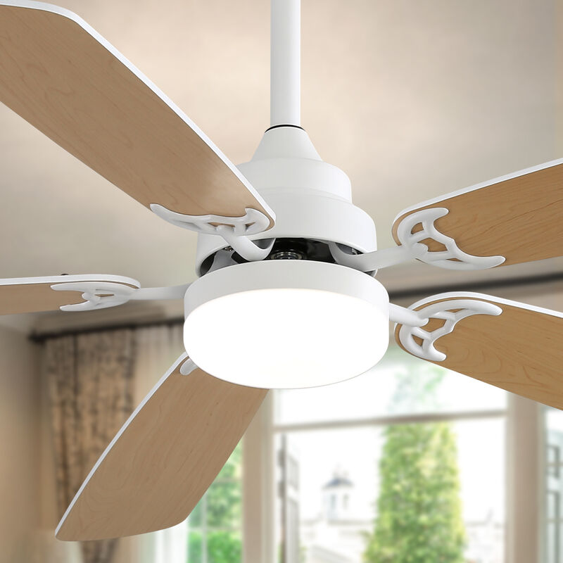 ELEMENT ACE Indoor Modern Ceiling Fan with LED Light and Remote Control for Efficient Airflow image number 6