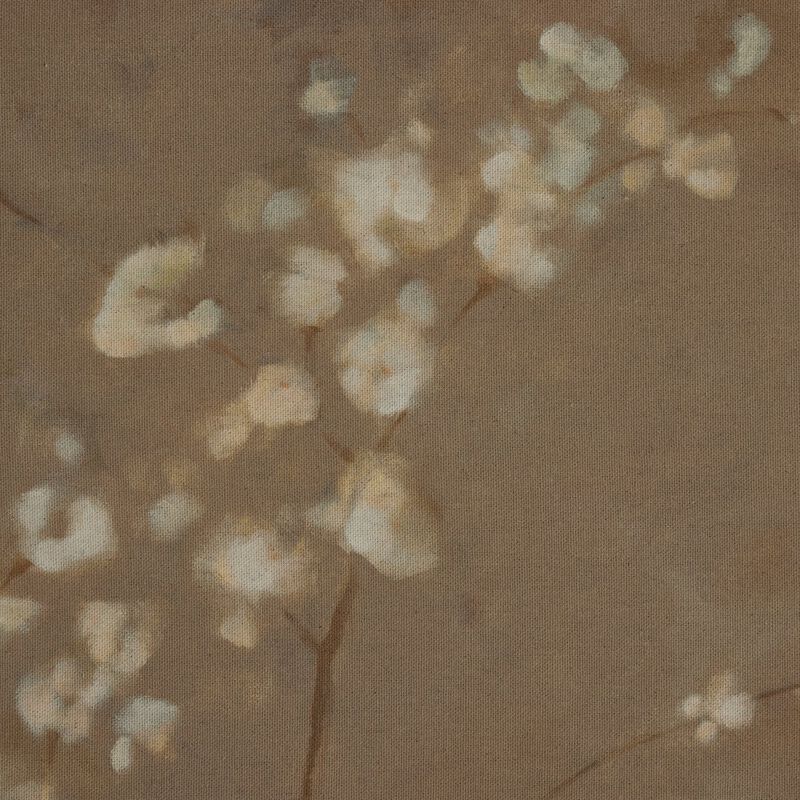 Sakura by Jess Engle image number 4