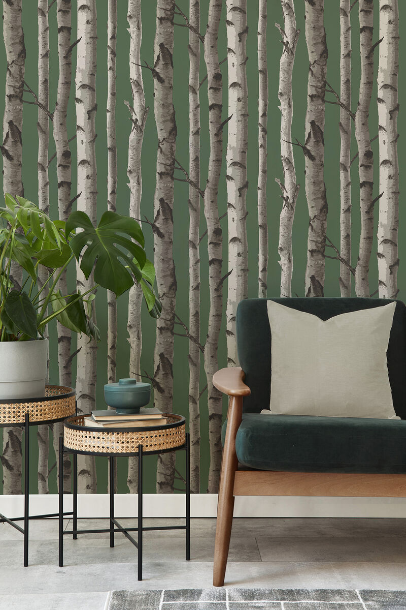 Chester Dark Green Birch Trees Wallpaper image number 2