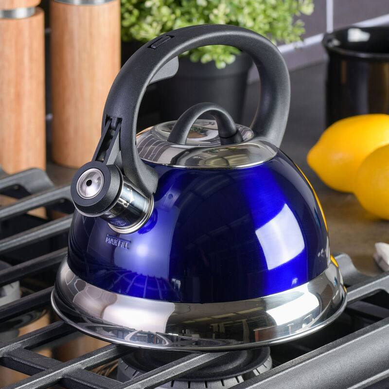 Mr. Coffee Flintshire 1.75 Quart Whistling Stovetop Tea Kettle in Blue