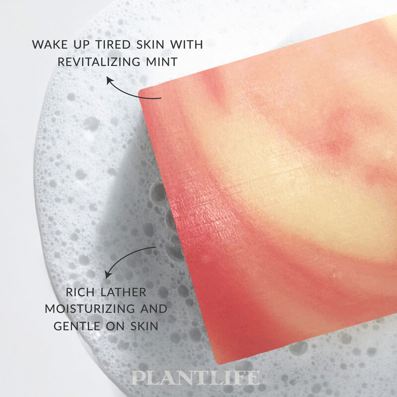 Plantlife Bar Soap - Candy Cane 3 Pack image number 3