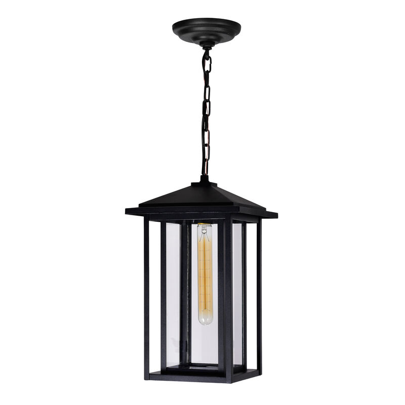 Crawford 1 Light Black Outdoor Hanging Light