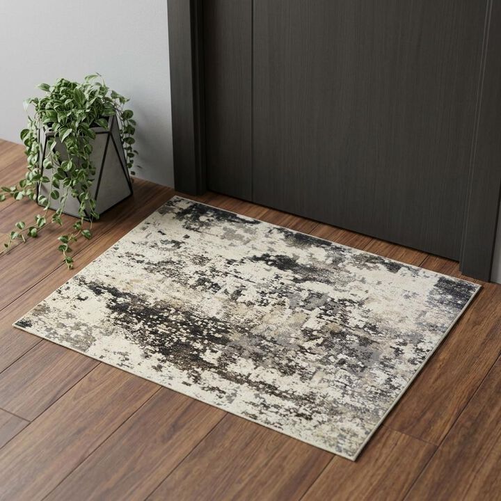 HomeRoots Abstract Distressed Area Rug With Fringe