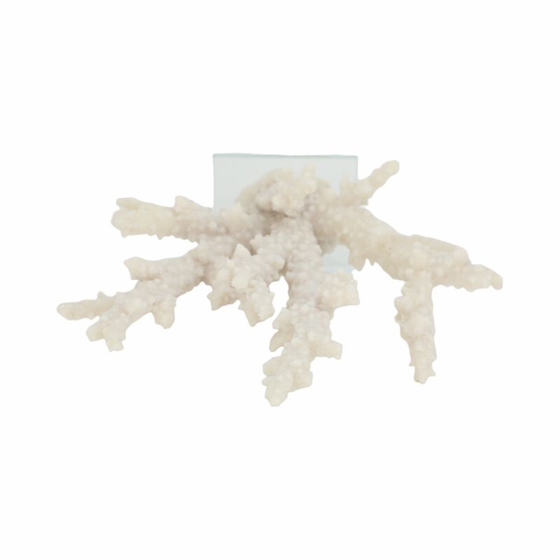 14" Branching Coral On Glass Base, White image number 5