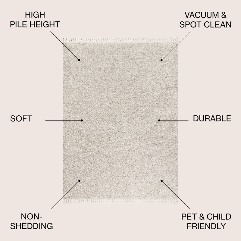 Mercer Shag Plush Tassel Area Rug