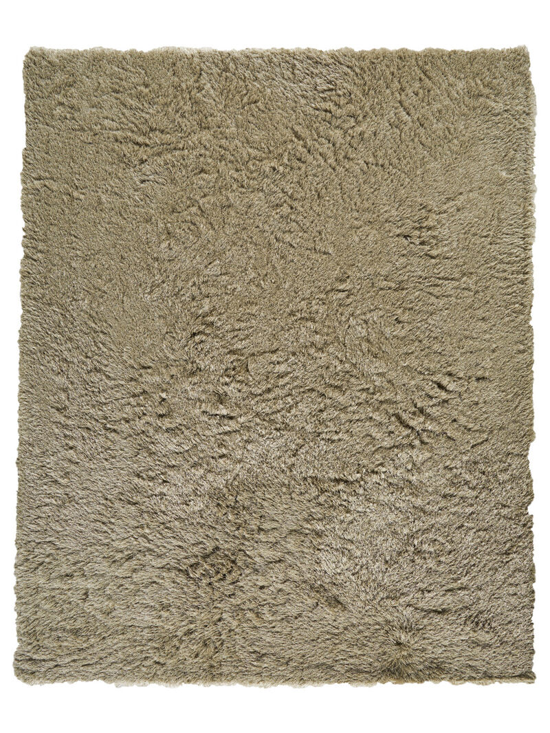 HomeRoots Shag Hand Tufted Area Rug image number 0