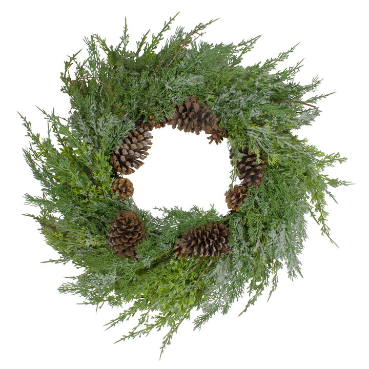 Frosted Cedar and Pine Cone Artificial Christmas Wreath  26-Inch  Unlit