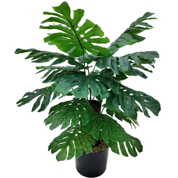 Monstera Plant 24” in Pot Silk Artificial House Plant 24 Realistic Leaves Coconut Bark on Trunk