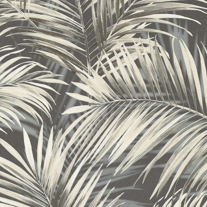 Calvado Palm Wallpaper