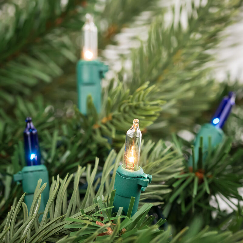 100-Count Blue and Clear Mini Christmas Light Set  20 ft Green Wire image number 1