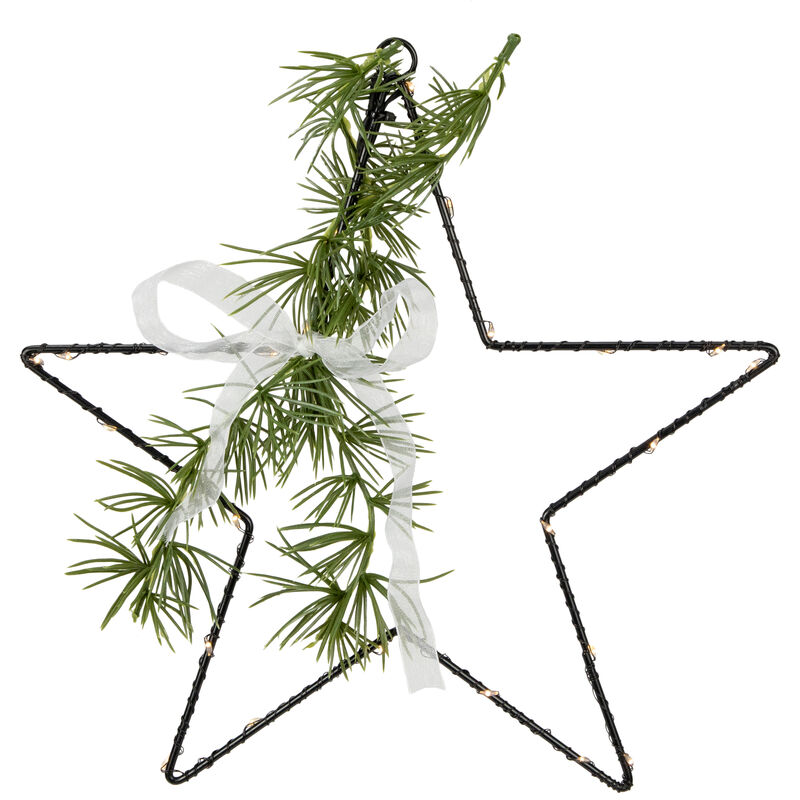 11" LED Lighted Star with Rosemary Sprig Christmas Decoration  Warm White Lights image number 0