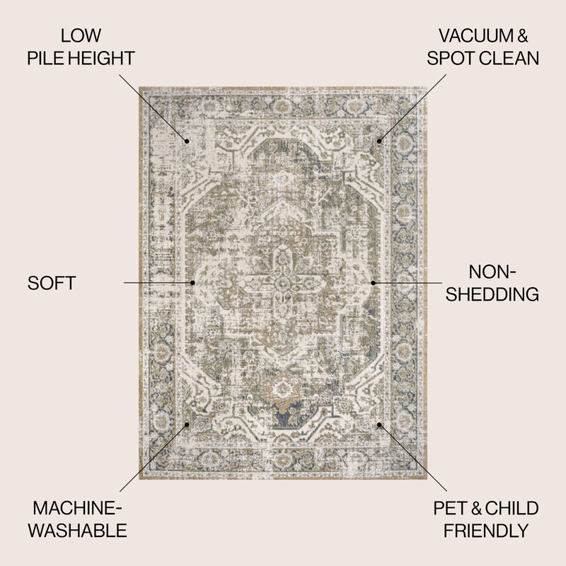 Keesha Bold Distressed Medallion Low-Pile Machine-Washable Area Rug