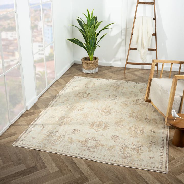 LR Home Aria Durable Performance Area Rug Indoor
