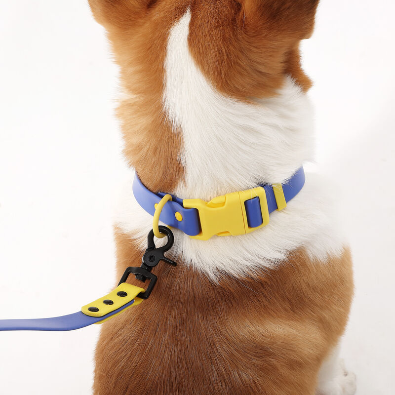 Luna  Adjustable 6-in-1 Waterproof Hands-Free Leash and Collar with LED Flashlight