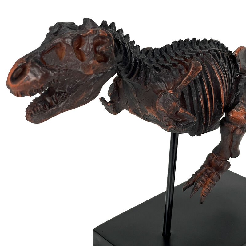 Tyrannosaurus Rex Skeleton Statue T-Rex on Museum Mount image number 2