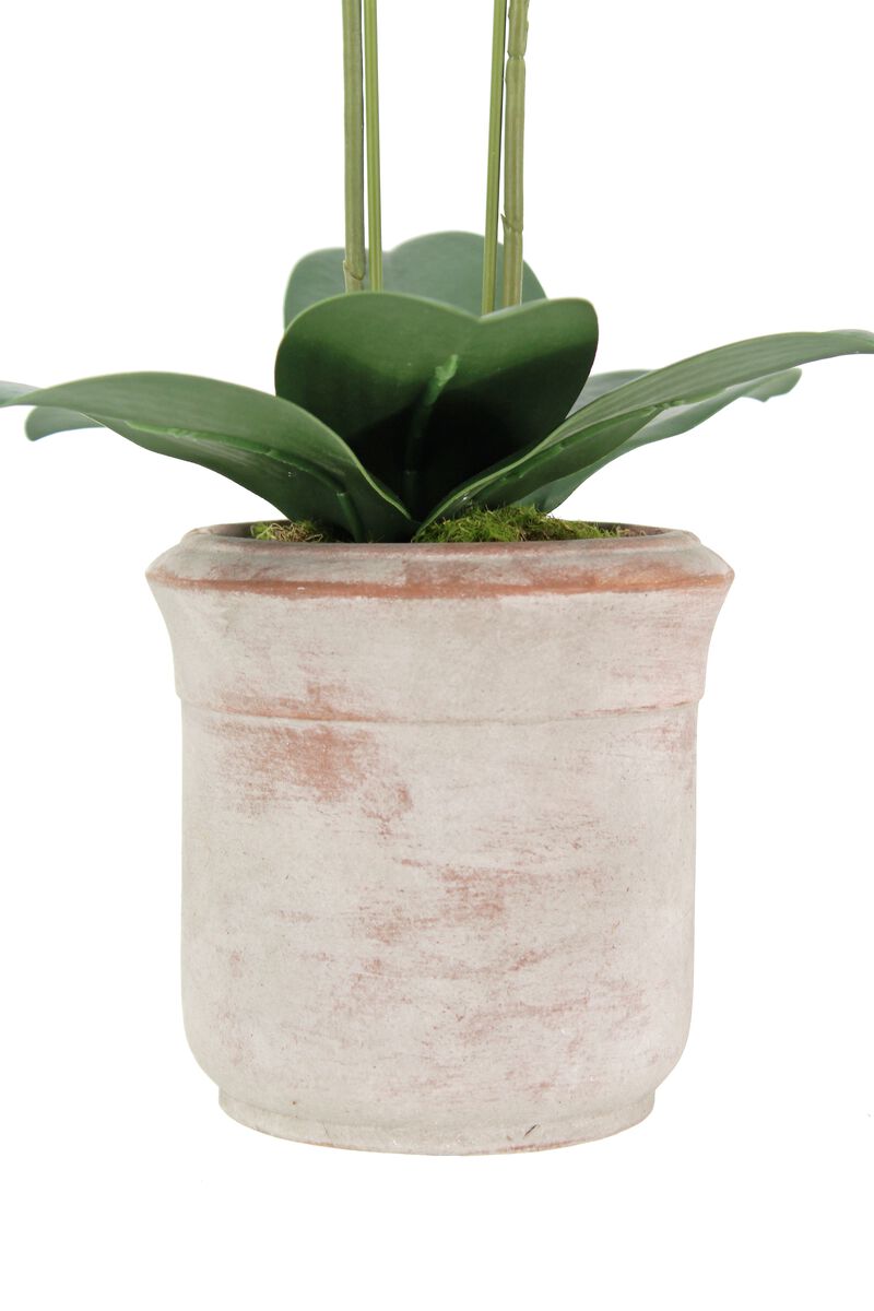 Artificial 2-Stem Phalaenopsis White Orchid image number 3