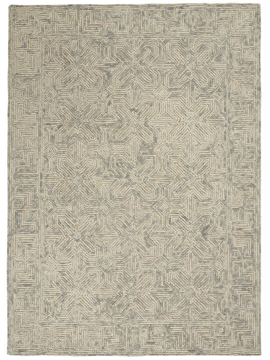 Colorado CLR05 Beige/Gray 3'9" x 5'9" Rug