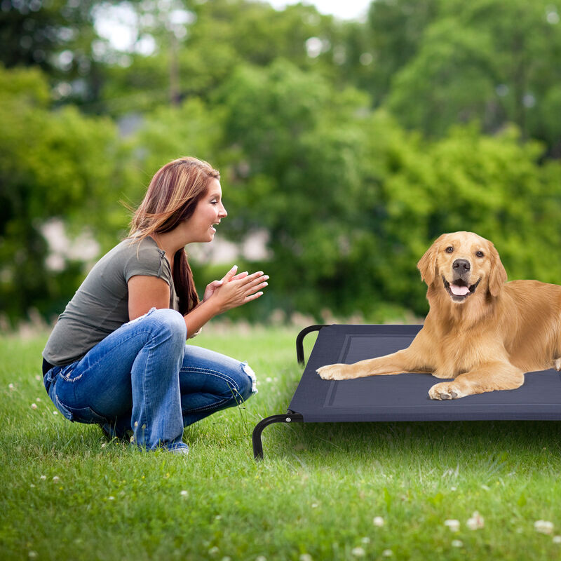 Large Indoor Outdoor Camping Steel Frame Elevated Pet Cot Mat