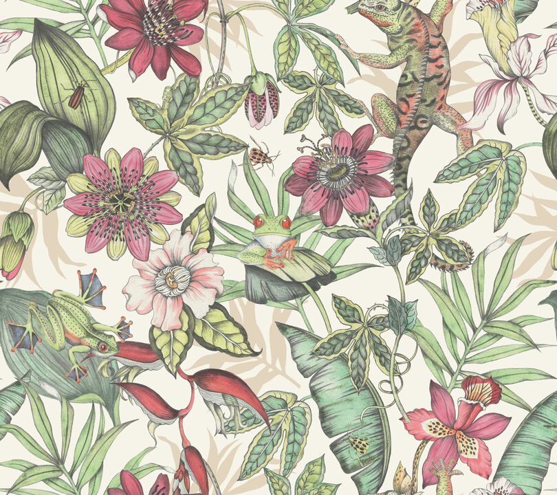 Rainforest Multicolor Wallpaper