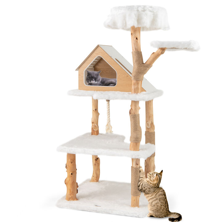 60-Inch Tall Solid Wood Cat Tree, Modern Wooden Cat Tower with 2 Perches for Cats